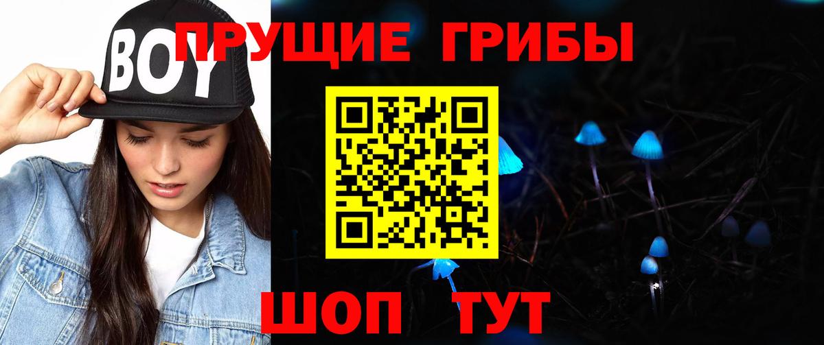 купить  сайты  Вход с VPN  Псилоцибиновые грибы GOLDEN TEACHER  Обь  Галлюциногенные грибы Cubensis 